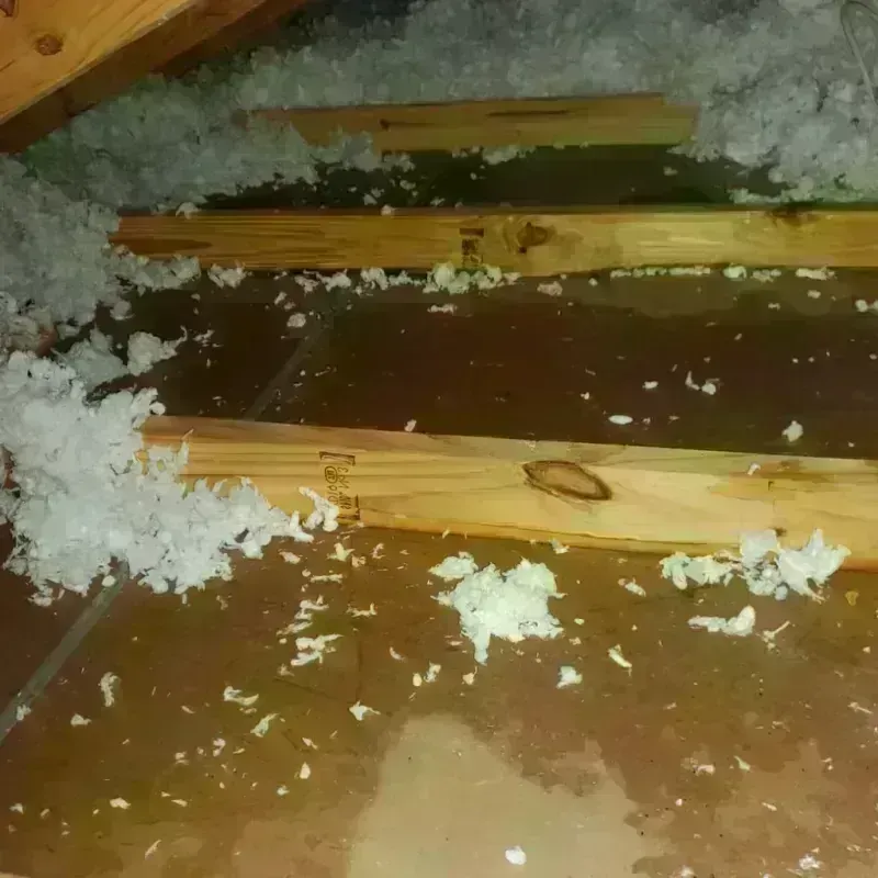 Attic Water Damage in Burney, CA